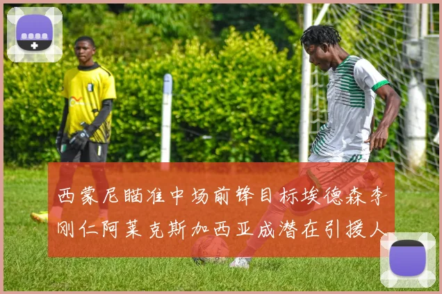 西蒙尼瞄准中场前锋目标埃德森李刚仁阿莱克斯加西亚成潜在引援人选